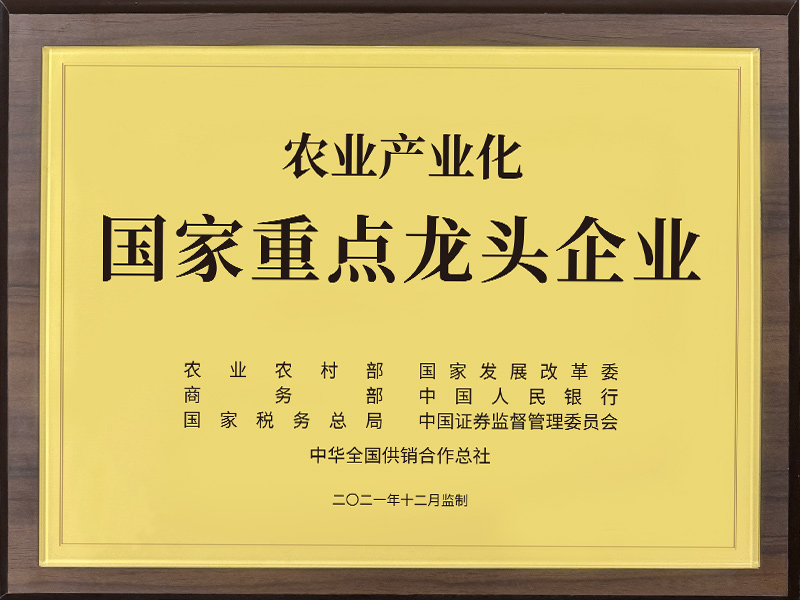 國家重點龍頭企業2021年